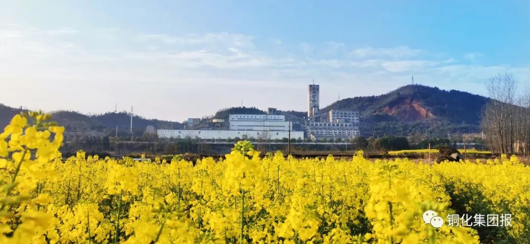 EMC易倍·(中国)体育官方网站-EMC SPORTS