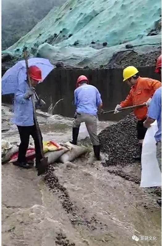 EMC易倍·(中国)体育官方网站-EMC SPORTS