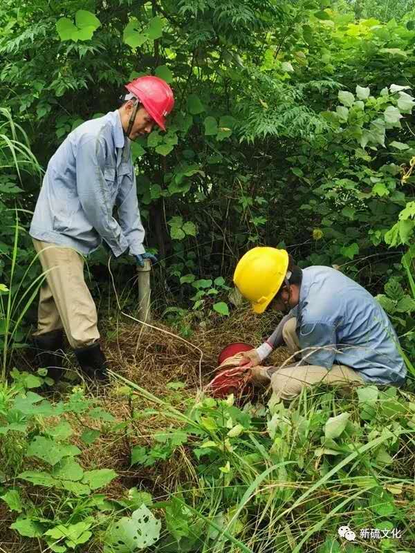 EMC易倍·(中国)体育官方网站-EMC SPORTS